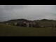 Webcam in Hollenthon, 7.3 mi away
