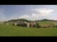 Webcam in Hollenthon, 8.4 mi away