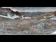 Webcam in St. Moritz, 0.2 mi away