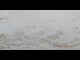 Webcam in St. Moritz, 9.9 km