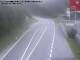 Webcam in Ehrwald, 0.4 mi away