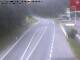 Webcam in Ehrwald, 0.4 mi away