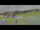 Webcam in Gaflenz, 16.6 km
