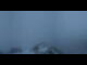 Webcam in Grindelwald, 1.7 mi away