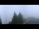 Webcam in Rickenbach, 5.6 km