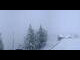 Webcam in Rickenbach, 7.7 km