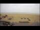 Webcam in Knokke-Heist, 3.4 km entfernt