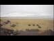 Webcam in Knokke-Heist, 3.4 km
