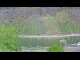 Webcam in Ernst, 37 km entfernt
