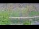 Webcam in Ernst, 36.1 km entfernt