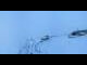 Webcam in Riffelalp, 0.6 mi away