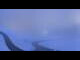 Webcam in Kitzbühel, 4 km