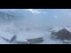 Webcam in Wengen, 1.8 km