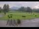 Webcam in Kitzbühel, 7 km entfernt