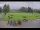 Webcam in Kitzbühel, 3.6 km