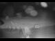 Webcam in Kitzbuhel, 1.7 mi away