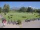 Webcam in Kitzbühel, 7 km entfernt