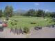 Webcam in Kitzbühel, 3.6 km