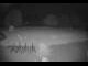 Webcam in Kitzbuhel, 2.7 mi away