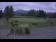 Webcam in Kitzbühel, 7 km