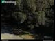 Webcam in Dresde, 0.2 km