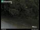Webcam in Dresden, 0.1 mi away