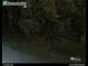 Webcam in Dresden, 11.5 km entfernt
