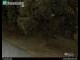 Webcam in Dresde, 11.5 km