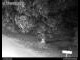 Webcam in Dresde, 0.2 km
