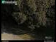 Webcam in Dresden, 4.4 mi away