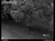 Webcam in Dresden, 0.2 km entfernt