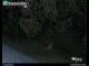 Webcam in Dresda, 11.5 km