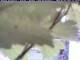 Webcam in Piding, 3.2 mi away