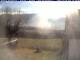 Webcam in Piding, 3.2 mi away