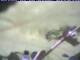 Webcam in Piding, 10.4 km