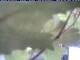 Webcam in Piding, 10.4 km