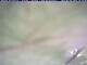 Webcam in Piding, 2.1 mi away