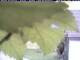 Webcam in Piding, 2.1 mi away