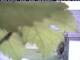 Webcam in Piding, 3.2 mi away