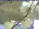 Webcam in Piding, 3.2 mi away