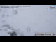 Webcam in Ftan, 11.2 km entfernt