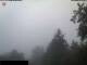Webcam in Miehlen, 21.6 km