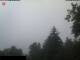 Webcam in Miehlen, 21.5 km