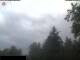 Webcam in Miehlen, 21.6 km