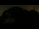 Webcam in Saas-Almagell, 7.7 km entfernt
