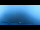 Webcam in Saas-Almagell, 6 km entfernt