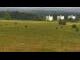 Webcam in Dobel, 4 km entfernt