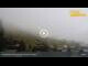 Webcam in Wald im Pinzgau, 2.5 km