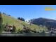 Webcam in Wald im Pinzgau, 6.6 km