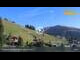Webcam in Wald im Pinzgau, 2.5 km